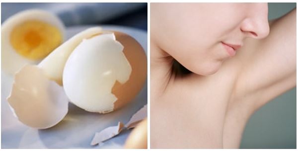 Chua Hoi Nach Bang Trung Ga