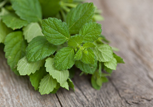 ăn bạc hà có tốt cho dạ dày không