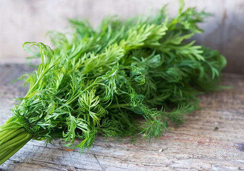 ăn thì là chữa đau dạ dày