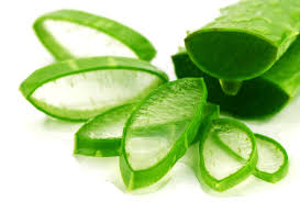 Bật mí 4 cách trị sạm da mặt bằng thiên nhiên ngay tại nhà